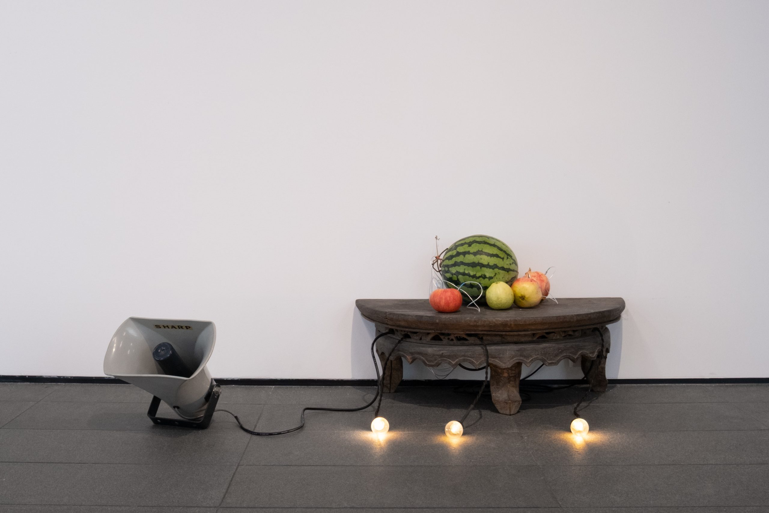 根系比罗盘更清楚方向– 空白空间WHITE SPACE